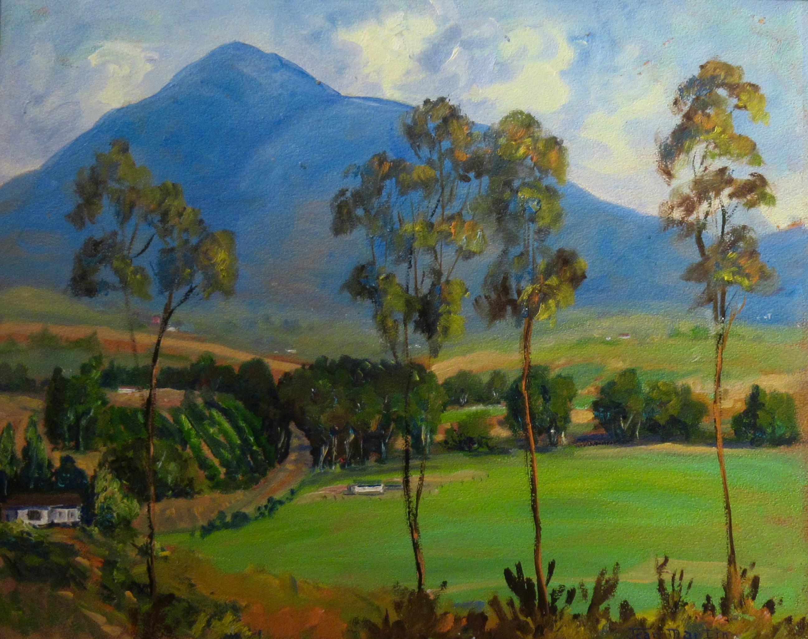 Mount Tamalpais, Marin County, Kalifornien – Painting von Jean Martin