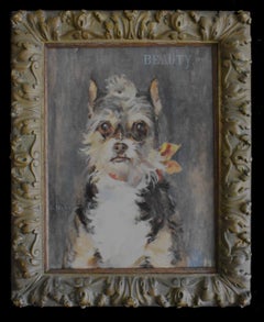 Beauty", un terrier espiègle