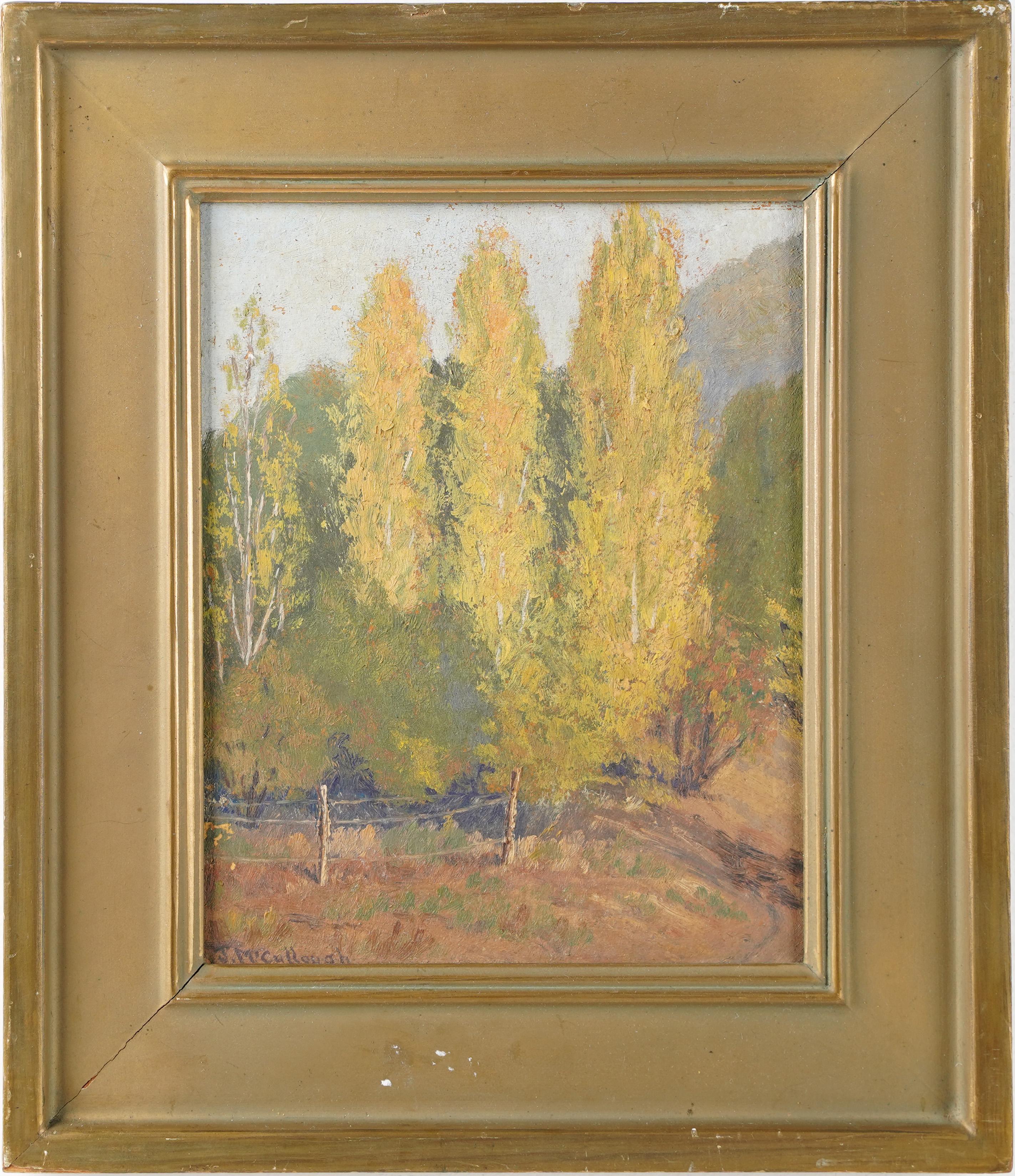 Jean McCullough Landscape Painting - Antique American Western Aspen Trees California Landscape Signed Oil Painting