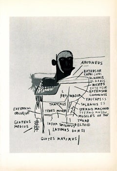Basquiat Annina Nosei Gallery 1982 (annuncio di anatomia di Basquiat)