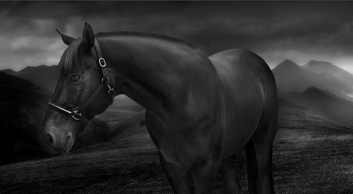 "Horses 1", photography by Jean-Michel Berts (39x63'), 2018