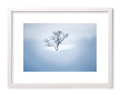 Gardiens du froid - framed