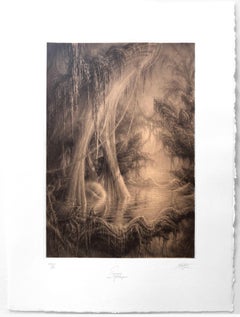 Paysage au Mollusque