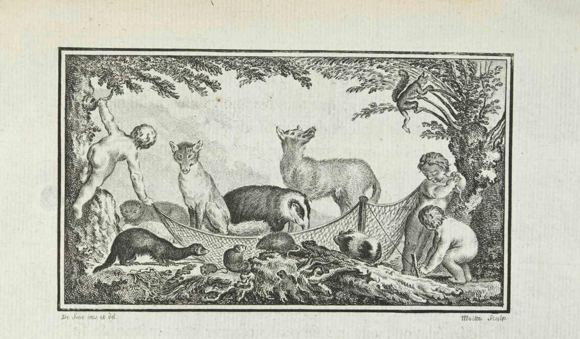 Composition with Animals is an etching realized by Jean Moitte in 1771.

It belongs to the suite "Histoire naturelle, générale et particulière avec la description du Cabinet du Roi".

Artist's signature engraved lower right.

Good conditions