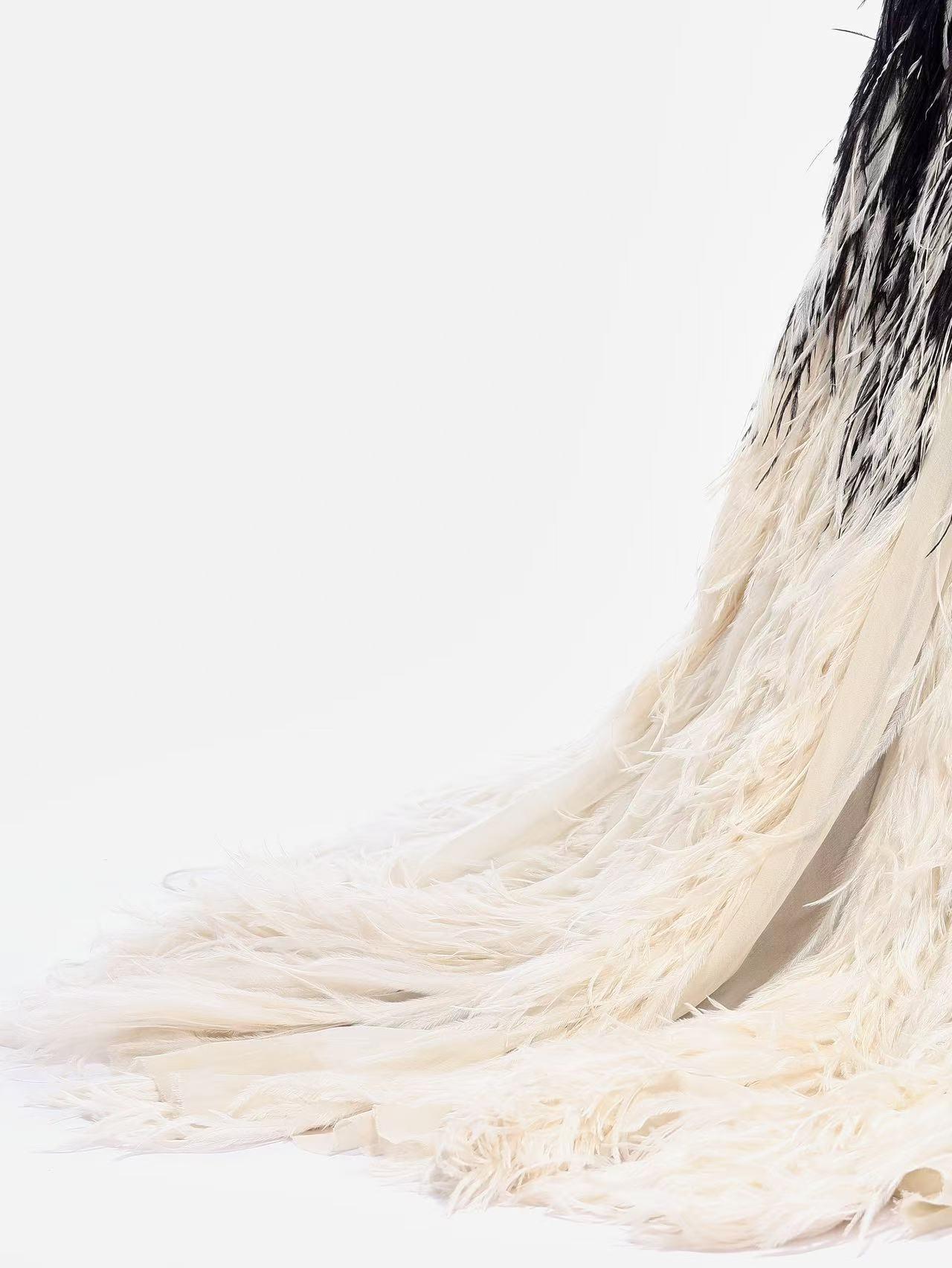 Jean Paul Gaultier Herbst 2011 Haute Couture Ombre Feder Herrenrock (FR 50) im Angebot 8