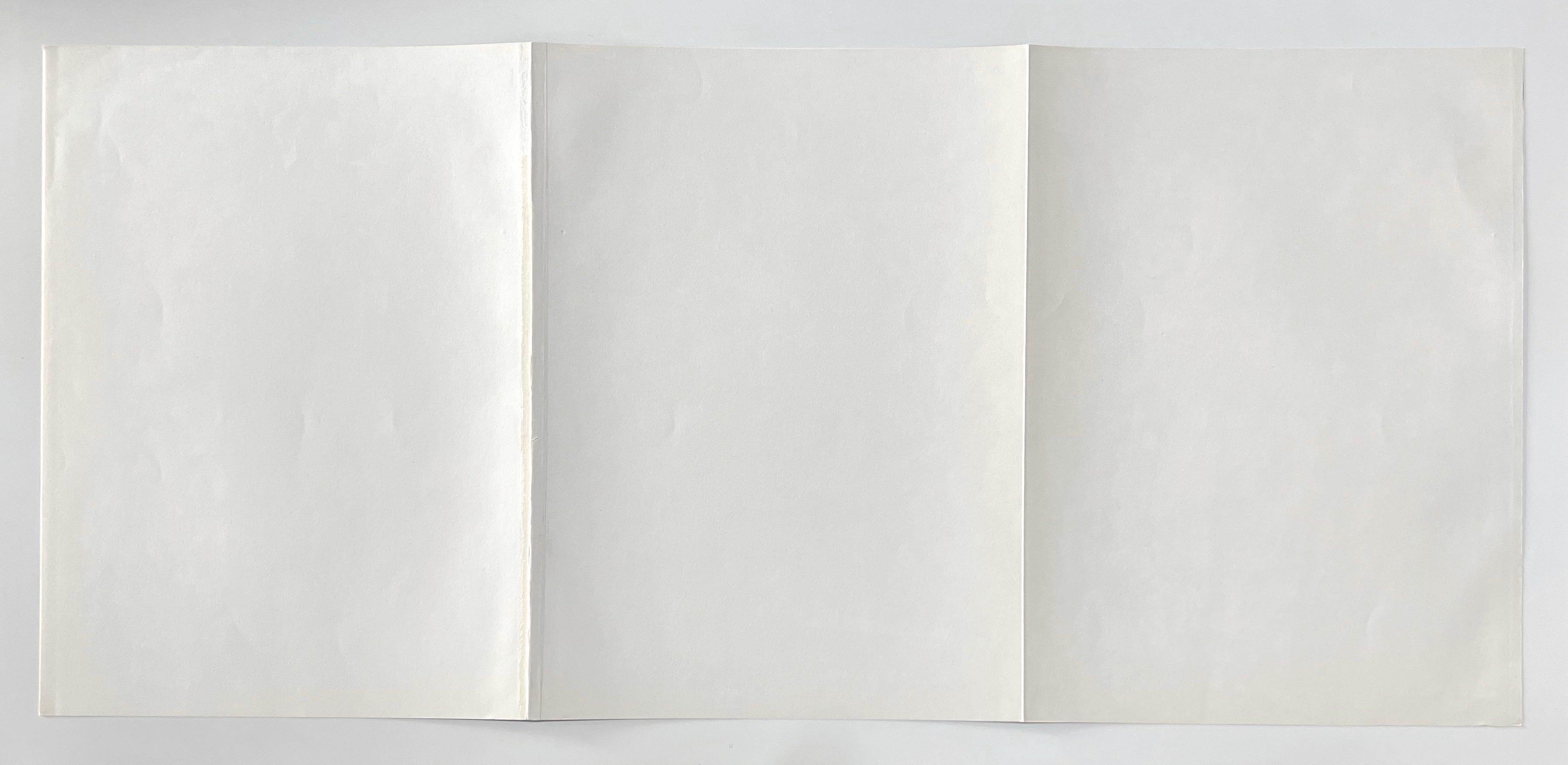Medio: Litografía original. Impreso en 1970 para la revista de arte Derriere le Miroir (número 185) y publicado en París por Maeght. Tamaño: 375 x 832 mm (15 x 33 pulgadas). Esta gran litografía se publicó como una hoja plegada con dos pliegues. No