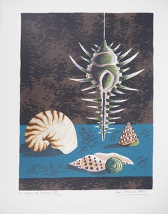 Sea Shell : The Comb of Venus - Original handsigned lithograph / 100ex