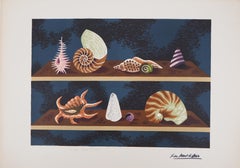 Shells - Original handsigned lithograph/ 100ex