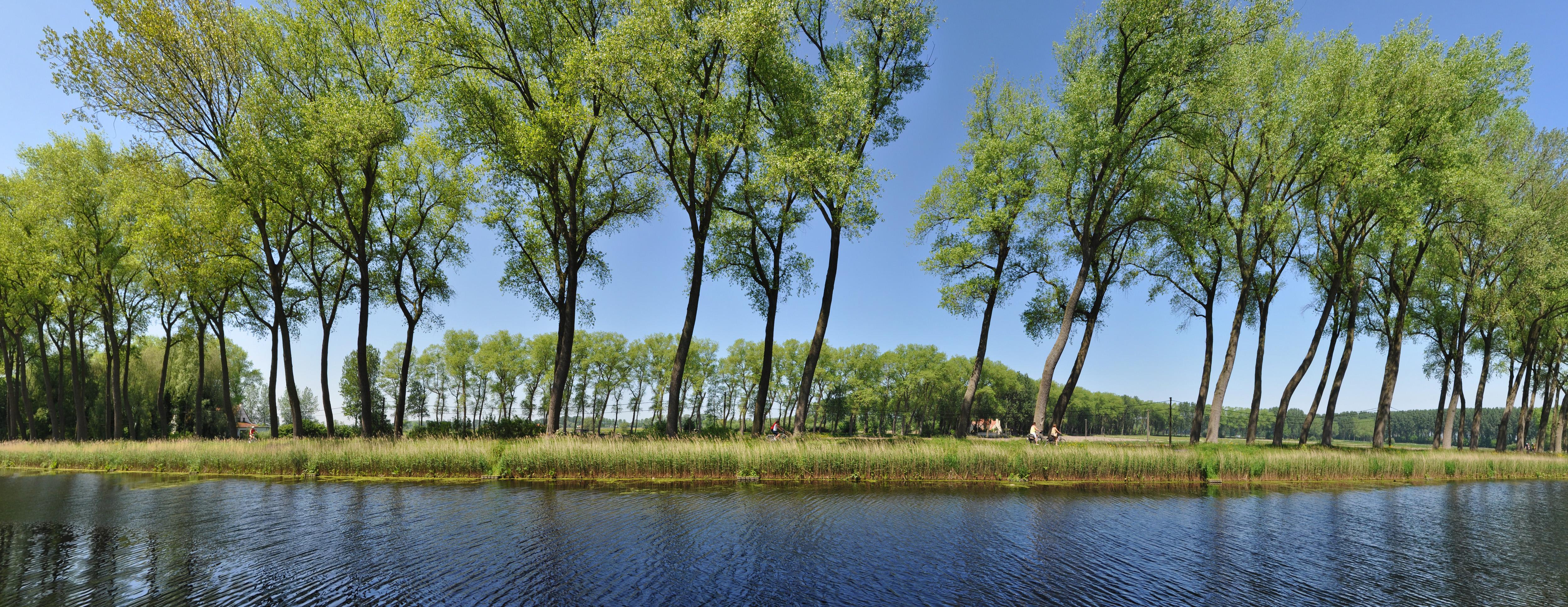 Color Photograph Jean Pierre De Neef - Canal of Damme (Bruges-Belgique) 2013 - Photographie contemporaine couleur Panoramic