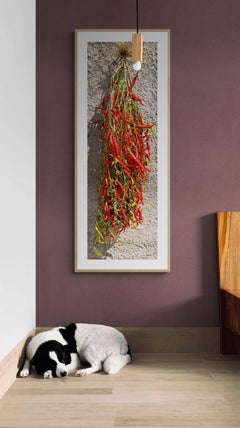 Italia Abruzos, Chile  -  Fotografía Panorámica Vertical Contemporánea en Color