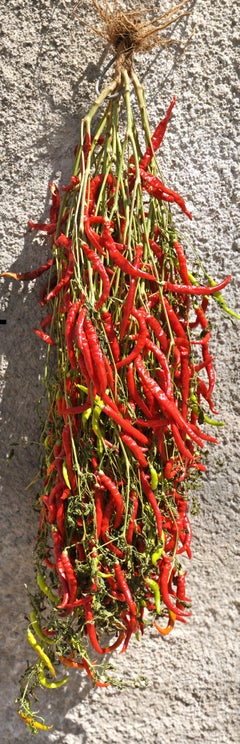 Italien Abruzzen, Chili  -  Zeitgenössische vertikale Panoramafotografie in Farbe