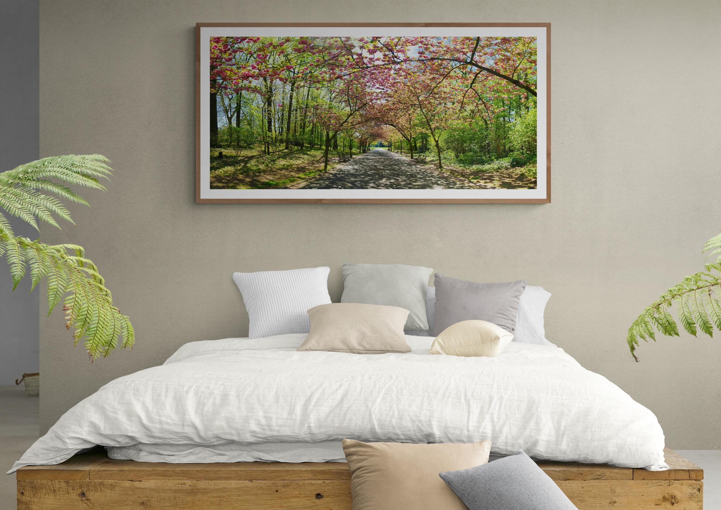 Japan Cherry Trees - Brussels - Contemporary Panoramic Color Photography For Sale 1