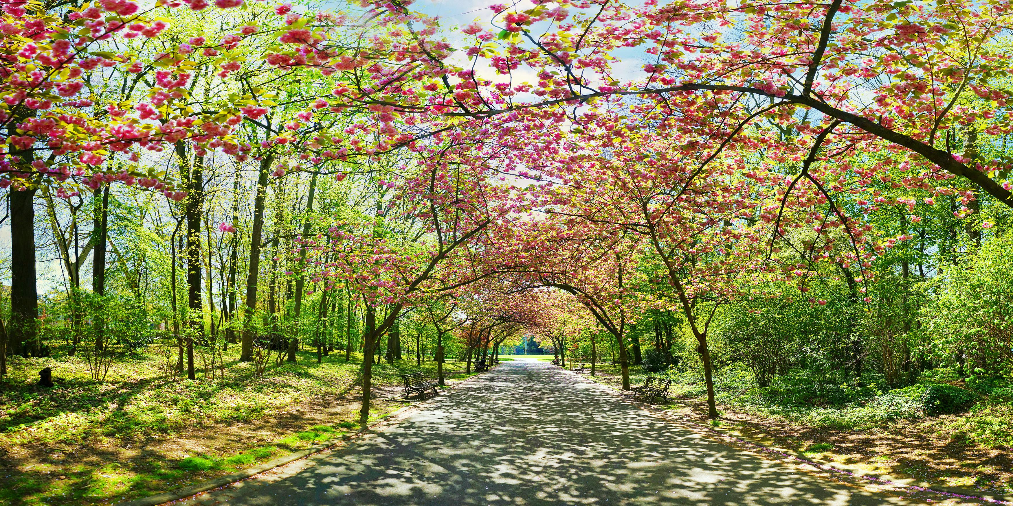 Panoramic view from the entrance of the Josaphat park in Brussels made from 12 pictures
Pigment photographic paper - photography & fine art print © Jean Pierre De Neef 
The technique of assembling several images allows the production of a new very