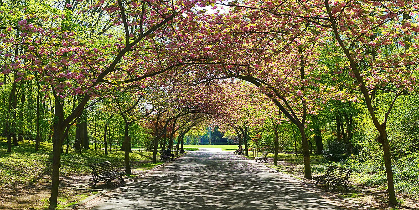 Panoramic view from the entrance of the Josaphat park in Brussels made from 12 pictures
Pigment photographic paper - photography & fine art print © Jean Pierre De Neef 
You make my head spin serie - Tribute to Belgium
The technique of assembling