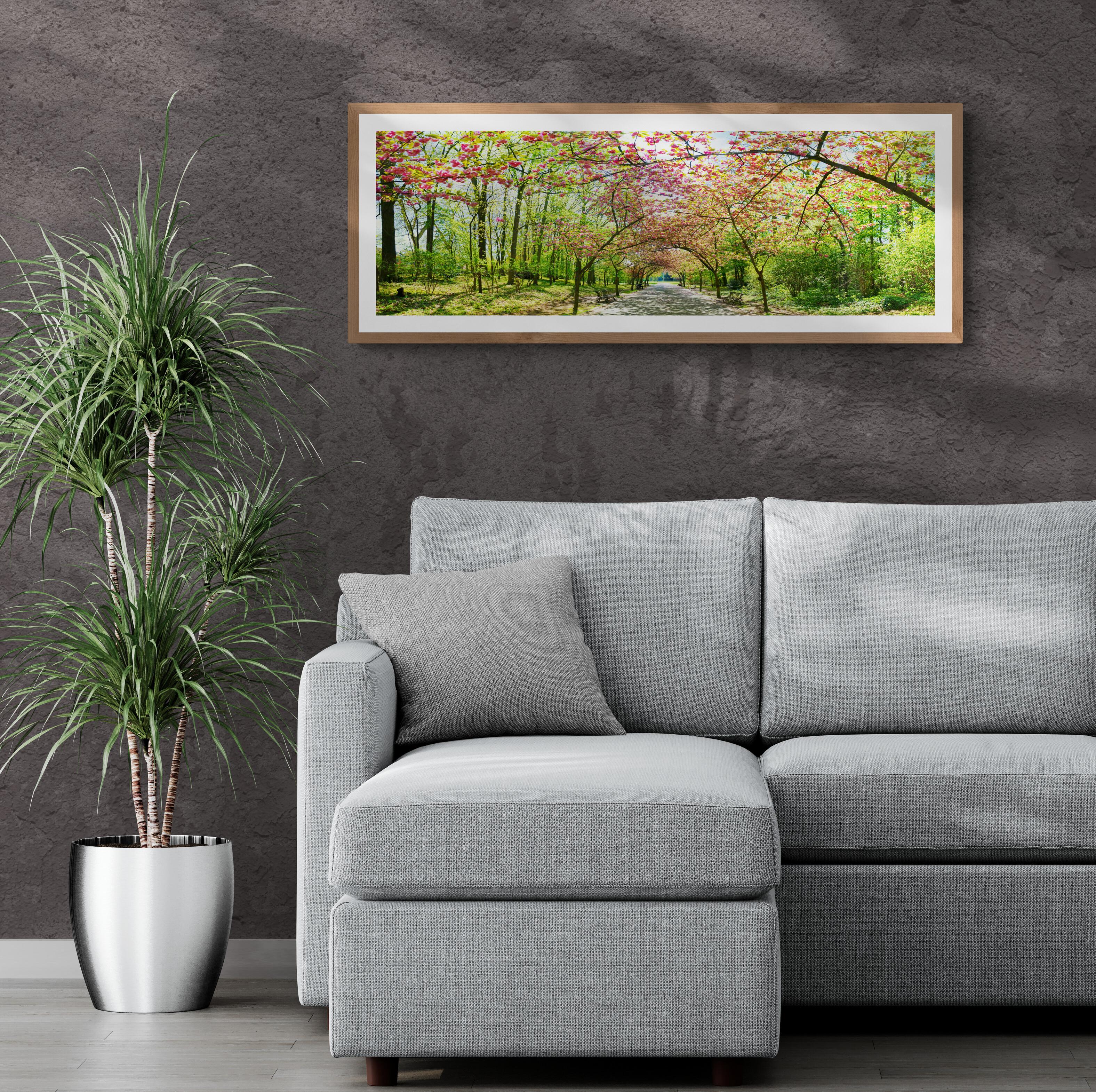 Japan Cherry Trees - Brussels - Gallery Print Edition - Panoramic Photography For Sale 1