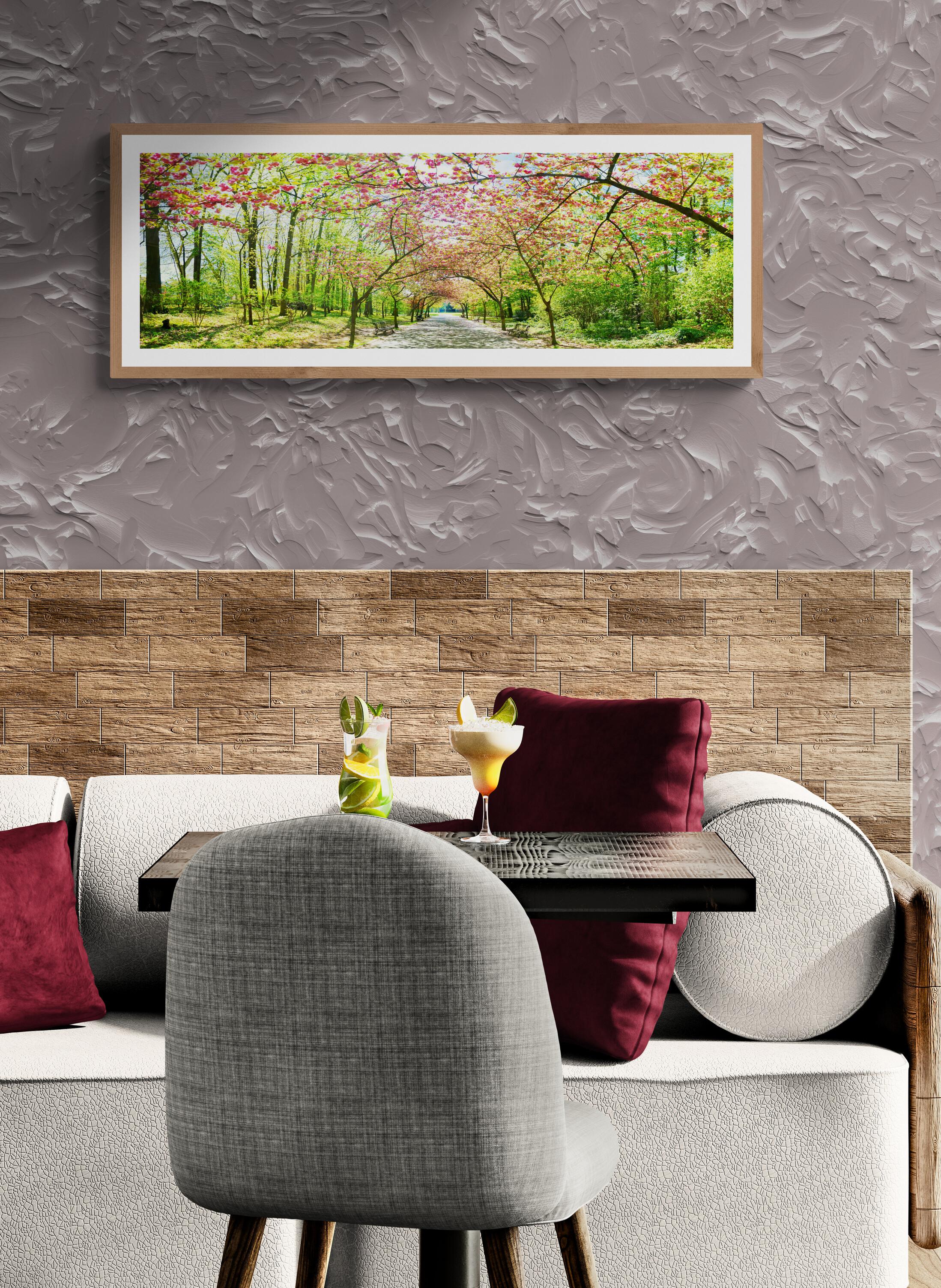 Japan Cherry Trees - Brussels - Gallery Print Edition - Panoramic Photography For Sale 2