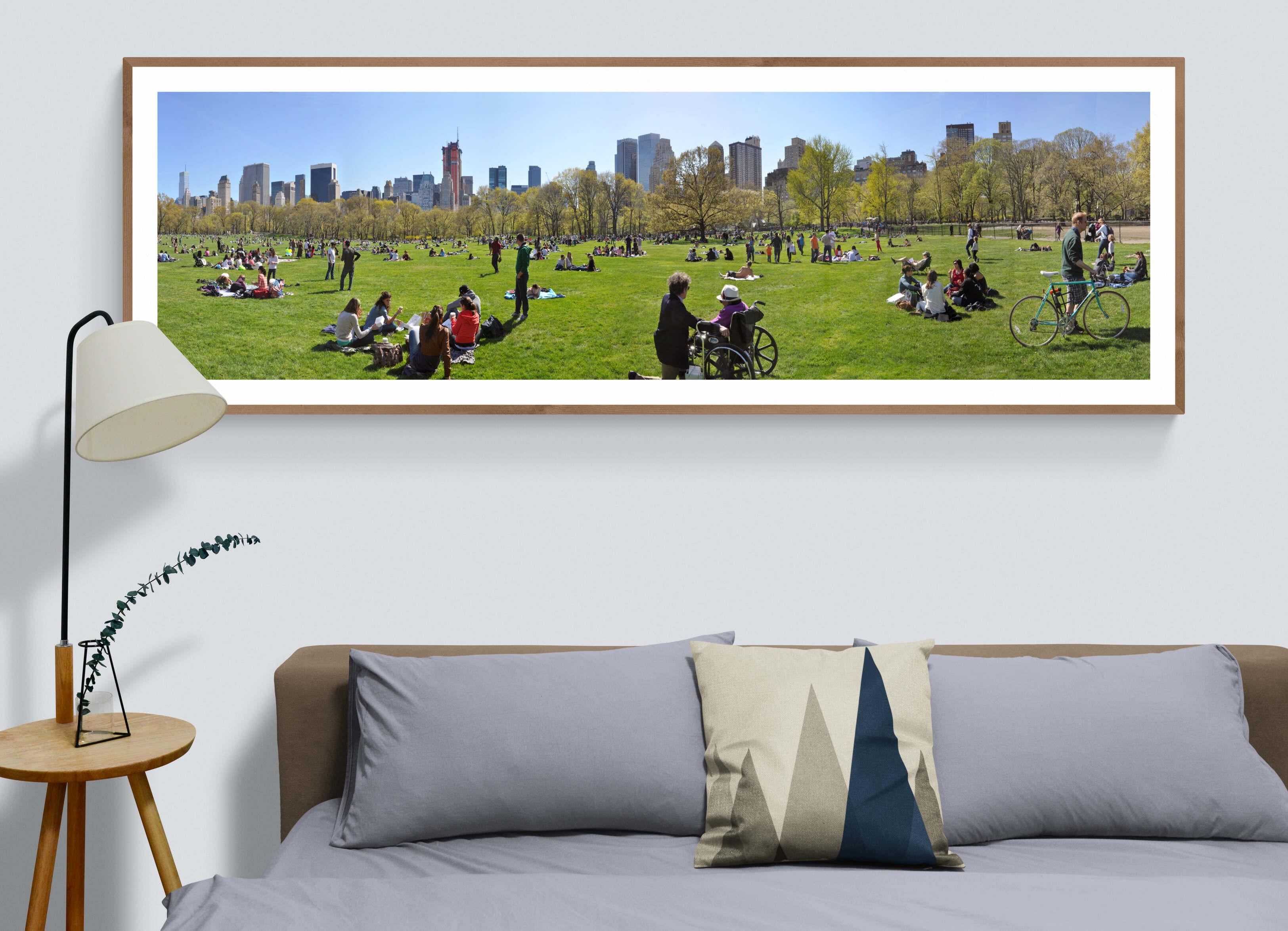 Spring afternoon in Central Parc  NYC - Contemporary Panoramic Color Photography For Sale 3