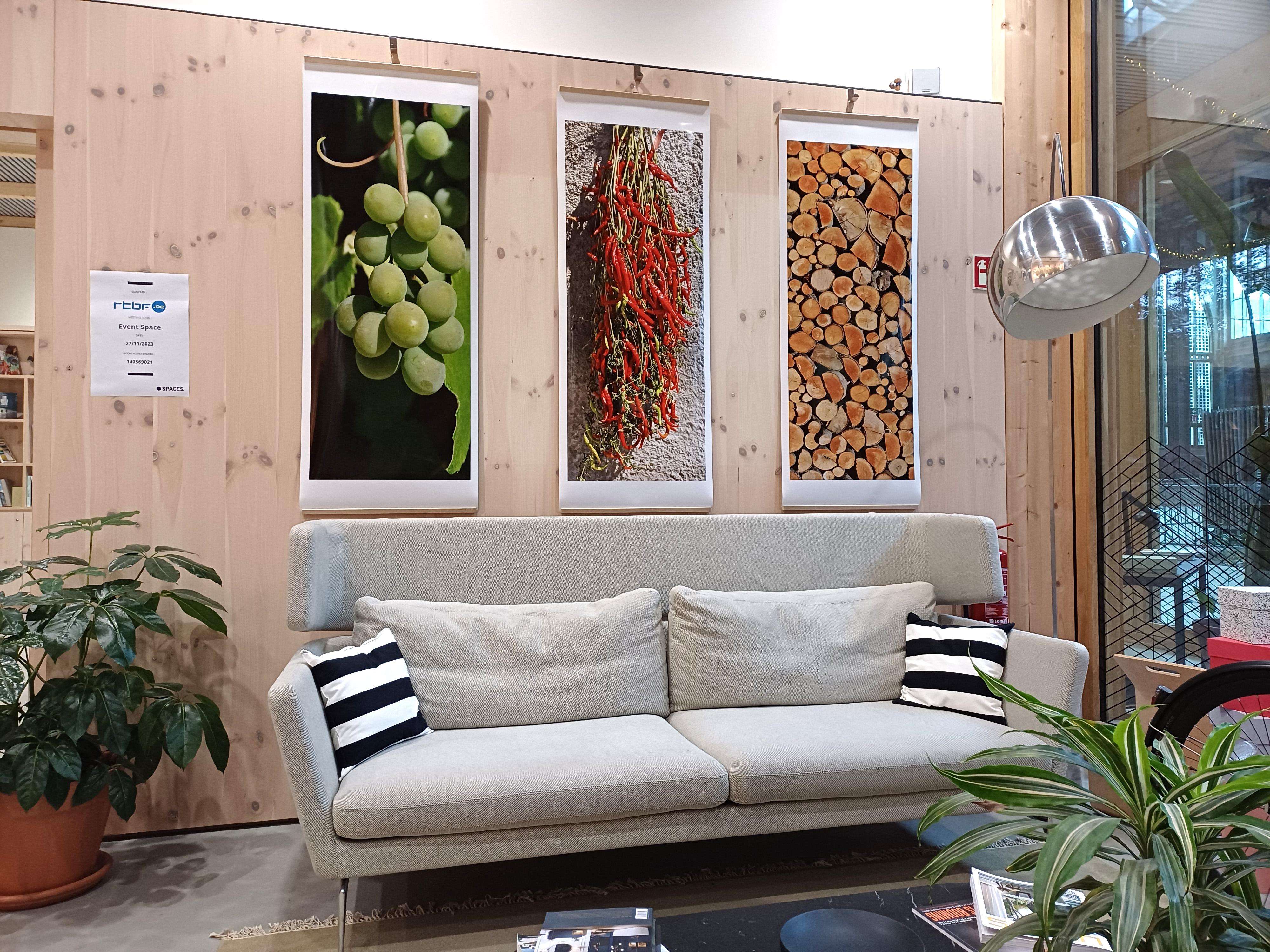 Stock de bois d'Abruzzo - Italie  s -  Contemporain  Photographie couleur Panoramic en vente 3