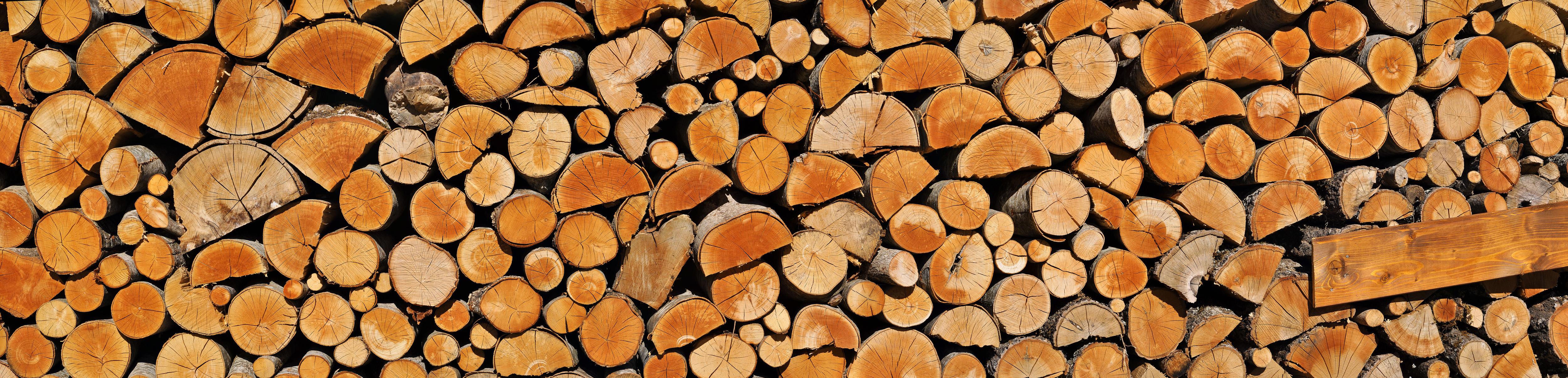 Stock de bois d'Abruzzo - Italie  s -  Contemporain  Photographie couleur Panoramic