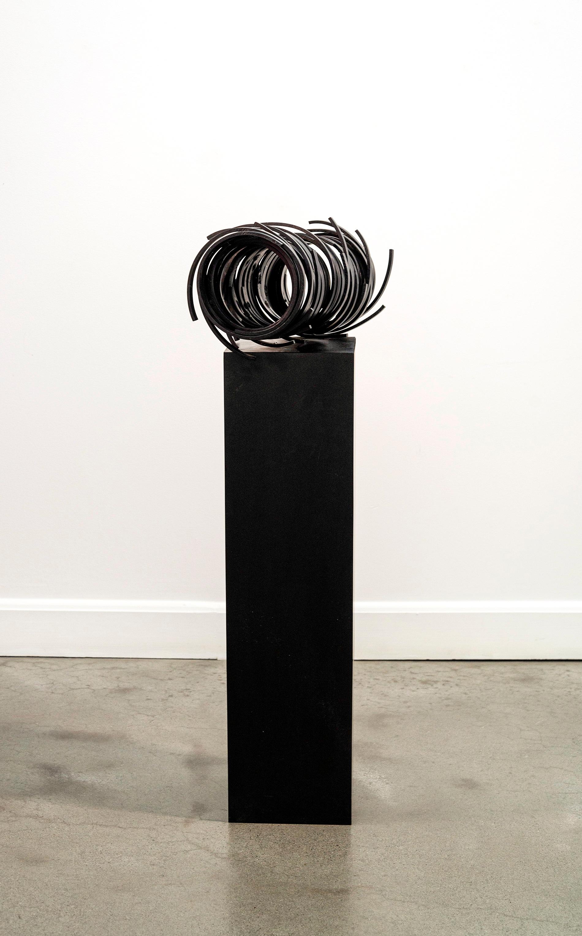 This enigmatic and intriguing sculpture is by Jean-Pierre Morin. The Quebec artist is known for his compelling contemporary work inspired by natural form. This piece, forged from narrow strips of aluminum, are wound around one another to create a