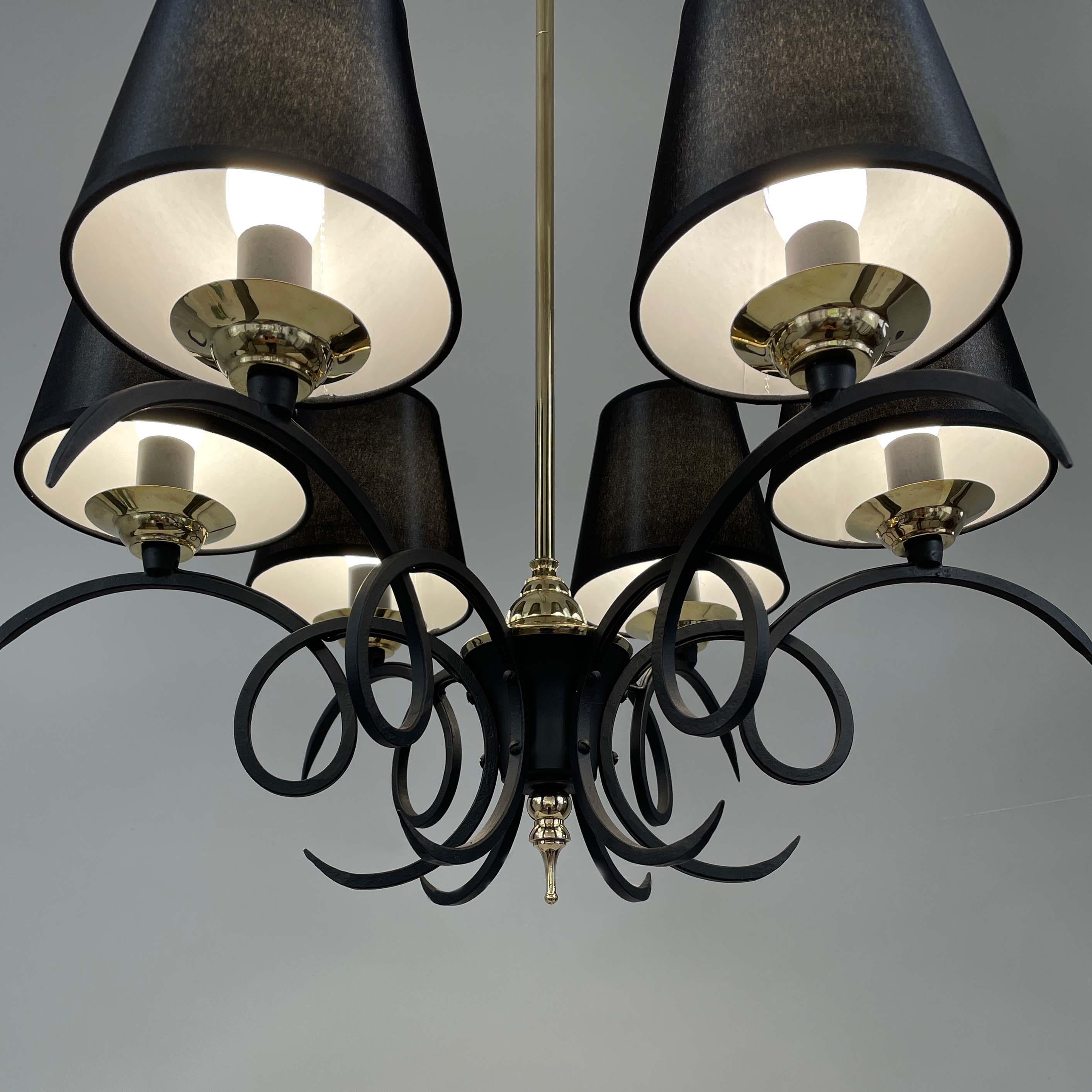 Black Cast Iron and Brass Chandelier, France 1950s For Sale 6