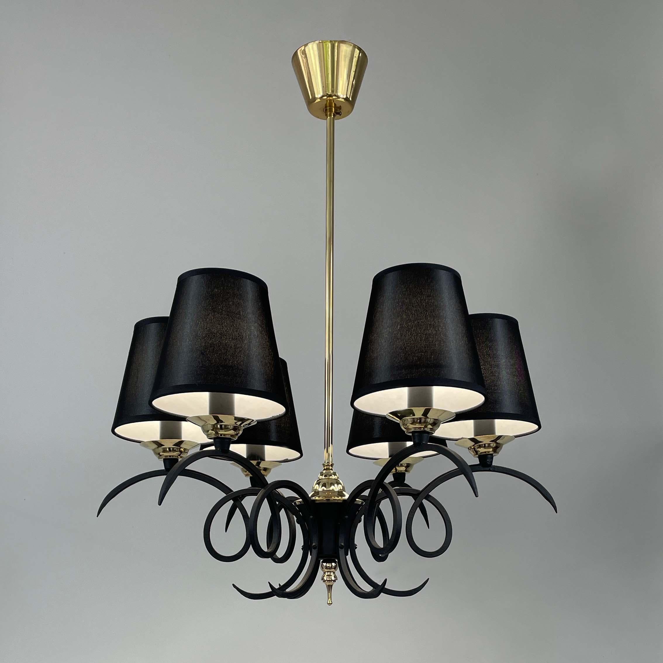 Black Cast Iron and Brass Chandelier, France 1950s For Sale 9