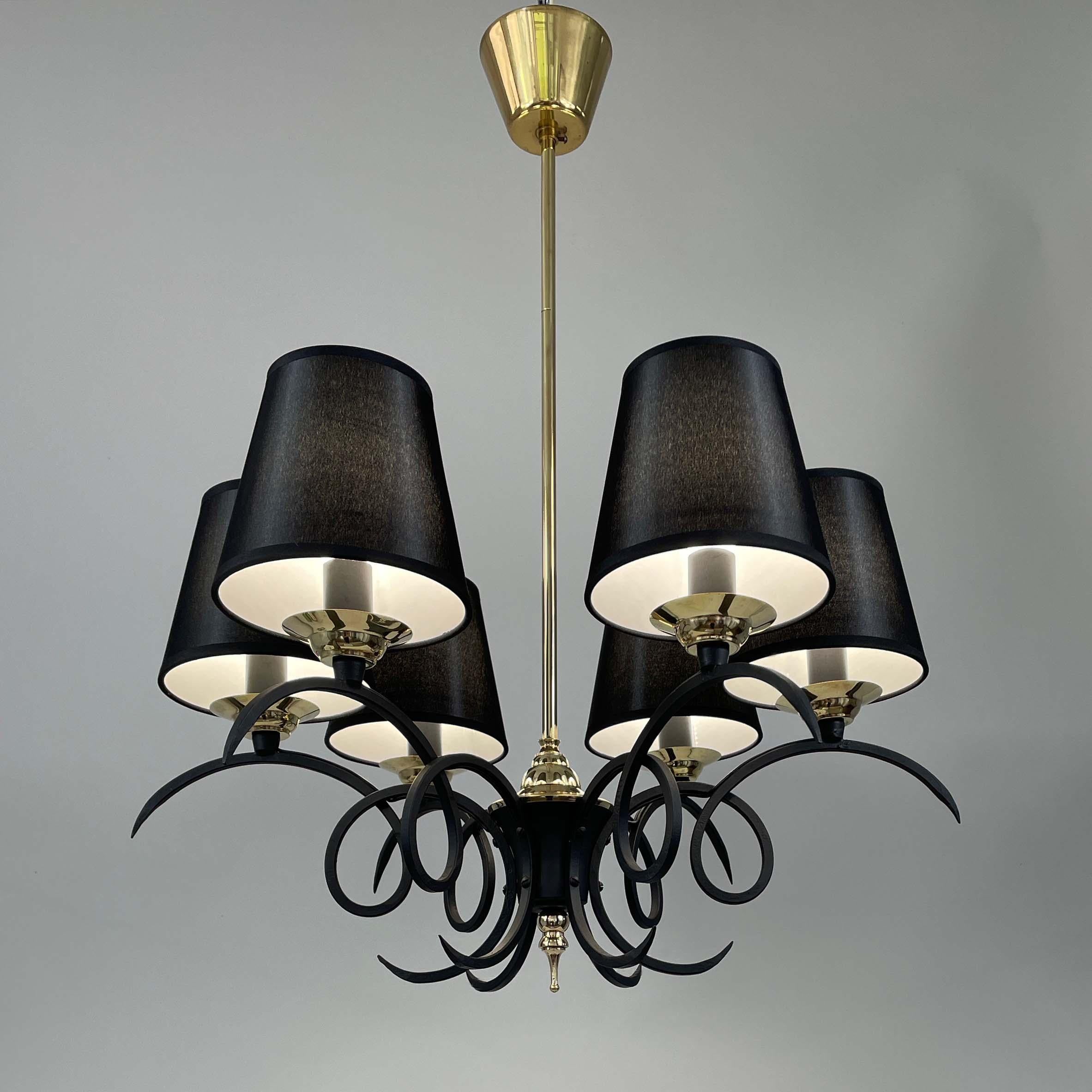 French Black Cast Iron and Brass Chandelier, France 1950s For Sale