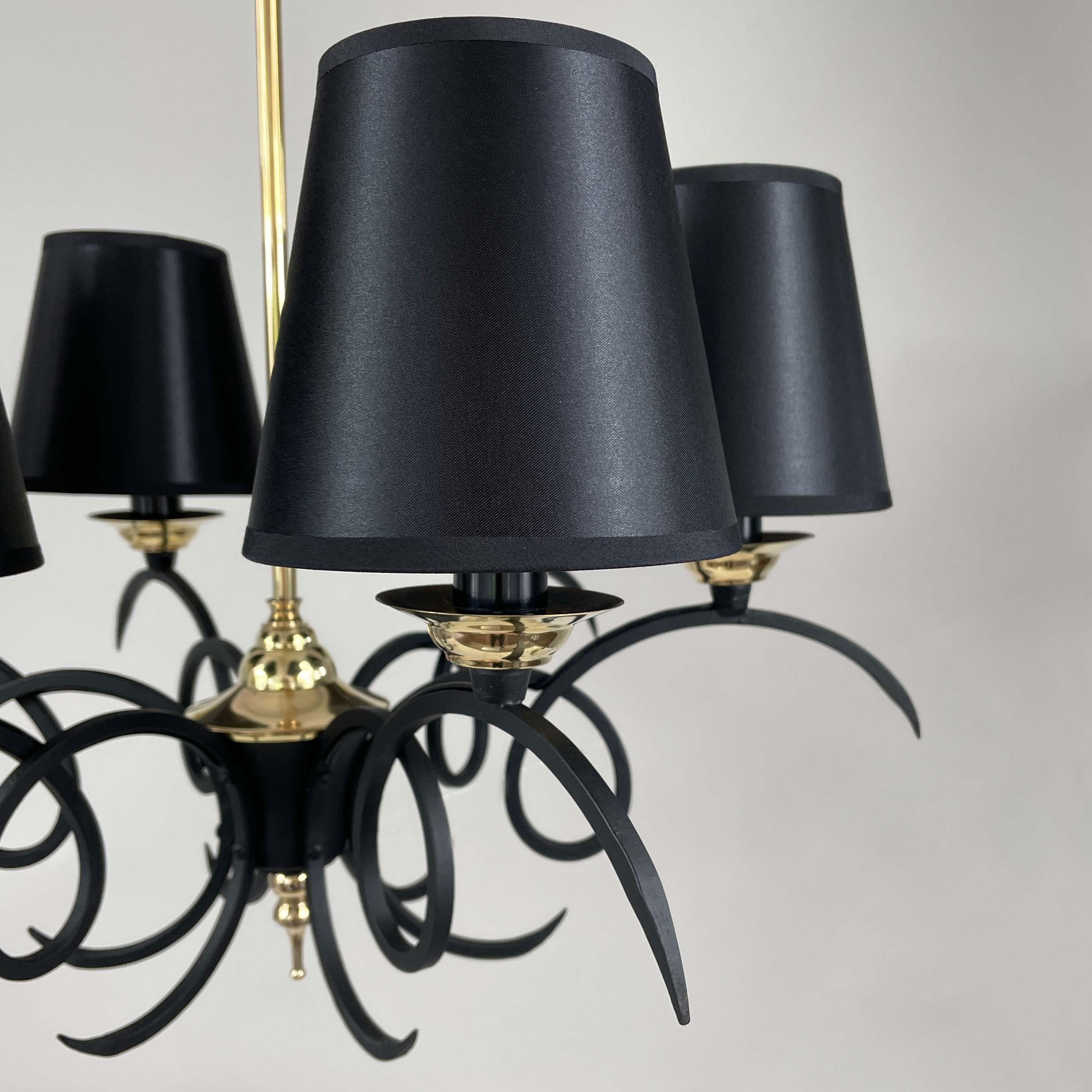 Black Cast Iron and Brass Chandelier, France 1950s For Sale 1