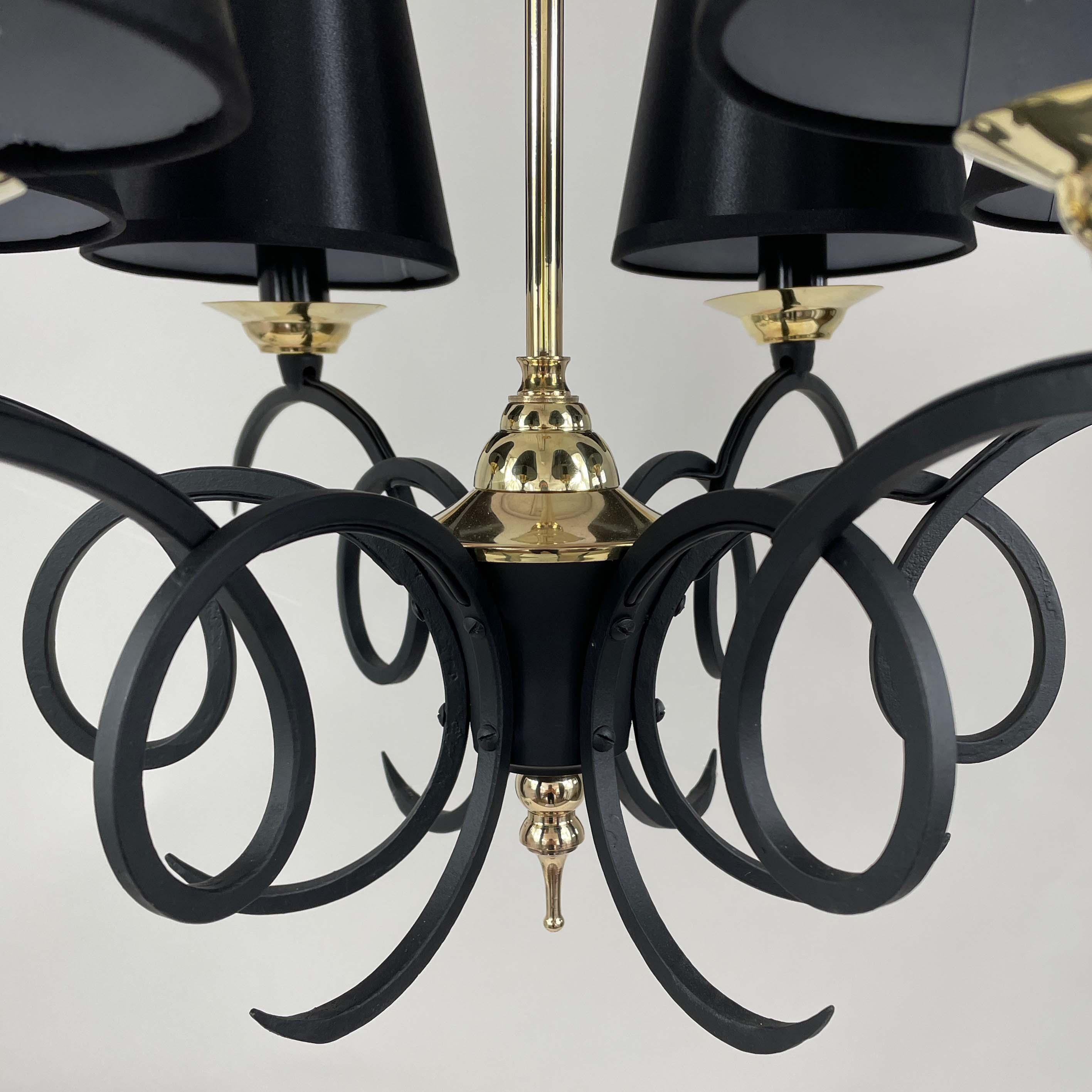 Black Cast Iron and Brass Chandelier, France 1950s For Sale 2