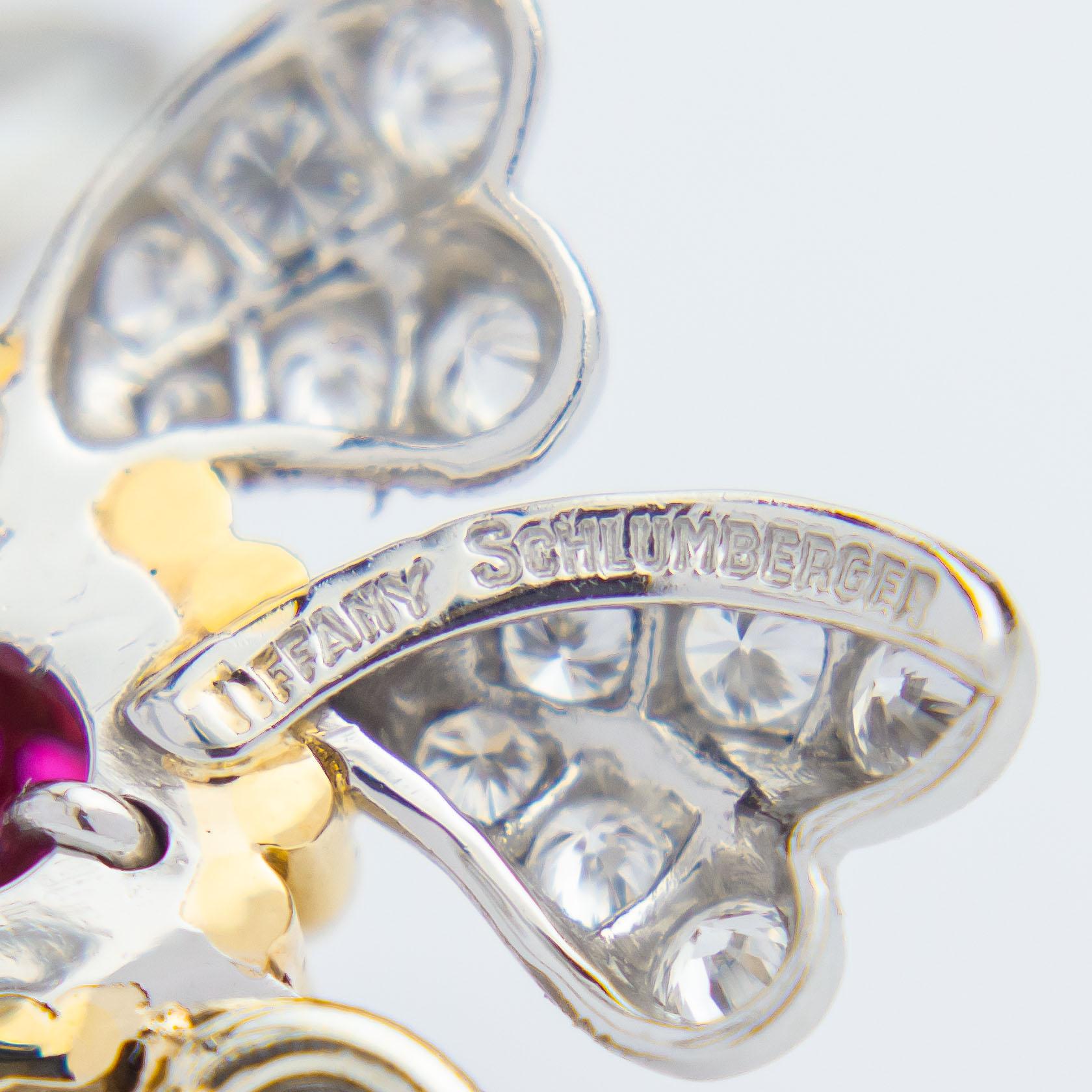 Femenino o masculino Pendientes Jean Schlumberger 