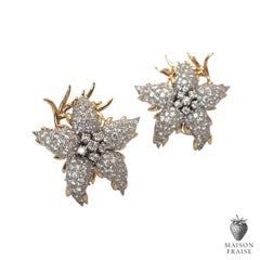Jean Schlumberger pour Tiffany & Co. Boucles d'oreilles fleurs étoilées en diamant