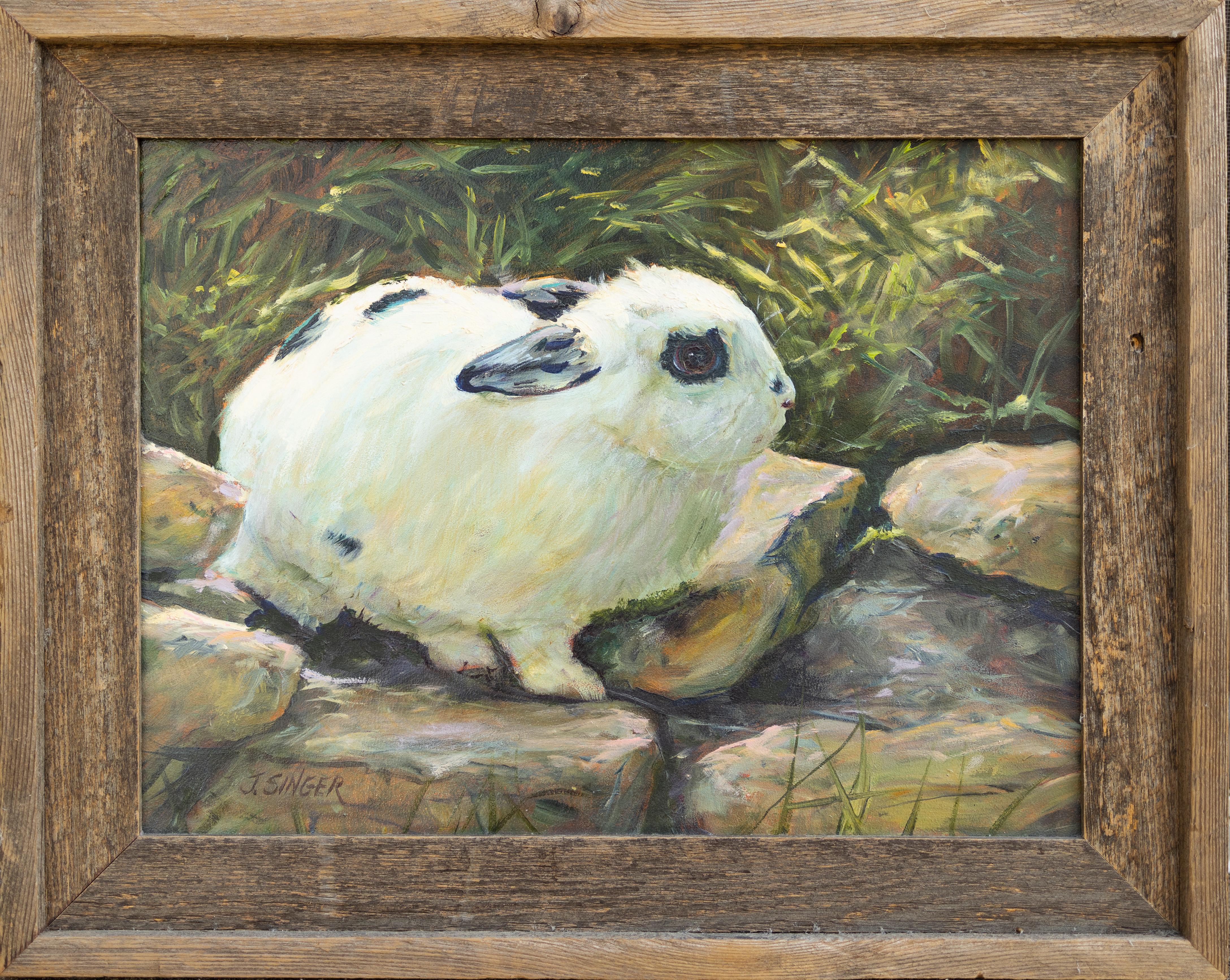 rabbits on the rocks
