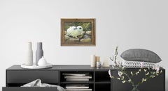 "Bunny on the Rocks" Cute Nature Rabbit Landscape Hare Furry Friend Pet Sweet