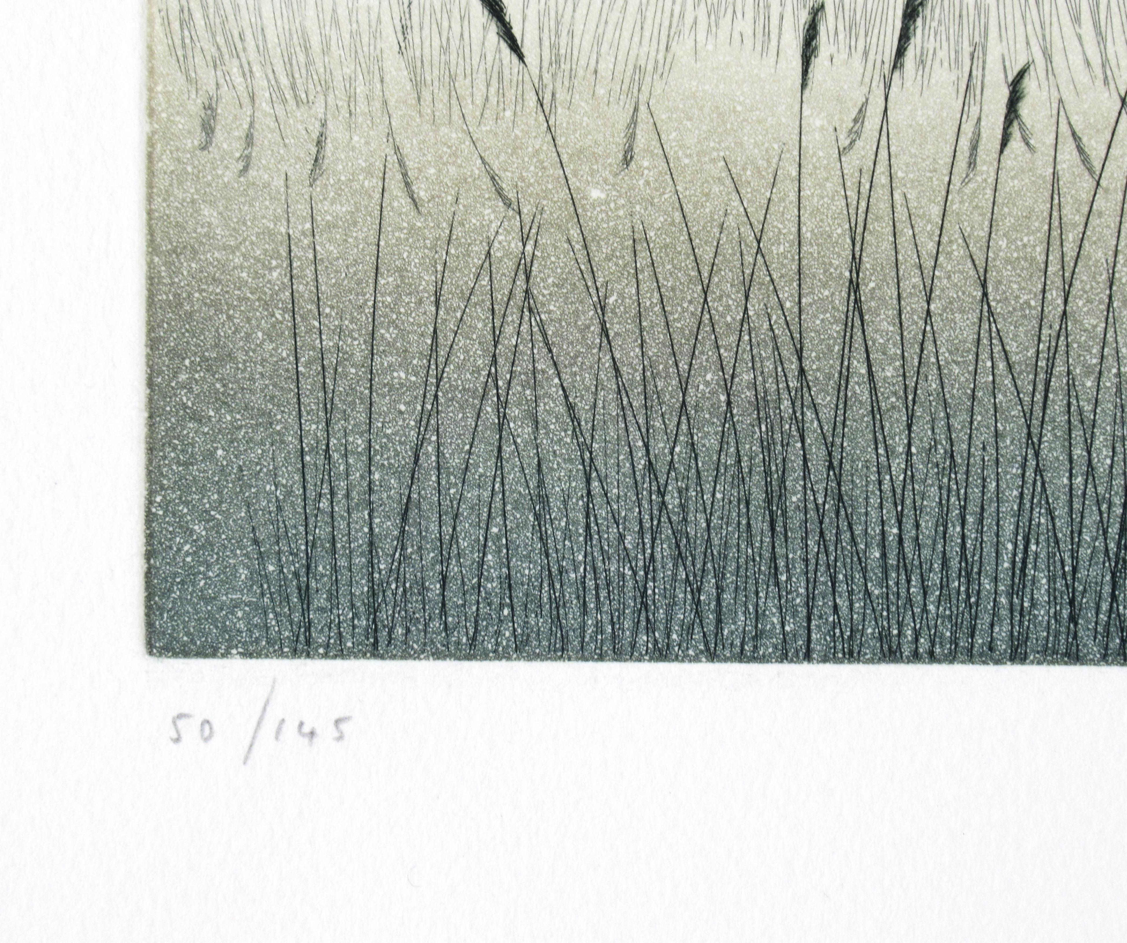 Lagune - Gray Landscape Print by Jean Solombre