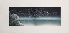 Tous Les Oiseaux Du Monde, Minimalist Etching with Aquatint by Jean Solombre
