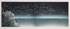 Tous Les Oiseaux Du Monde, Minimalist Etching with Aquatint by Jean Solombre