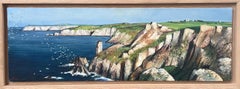 "Les mouettes à Kastel-Meur" - Bretagne, Finistère, Original Öl auf Leinwand