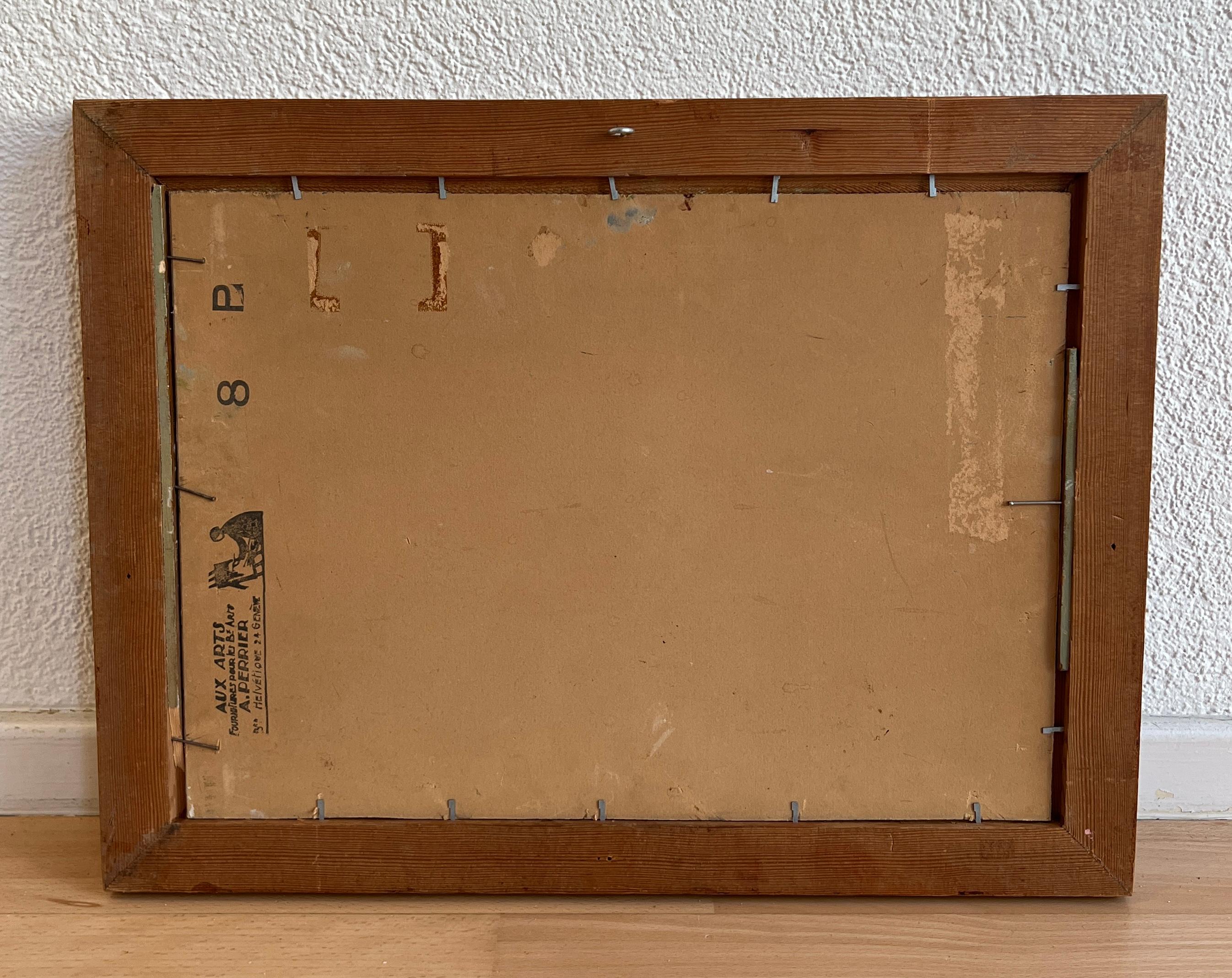 Las alturas de Cologny, Ginebra en venta 6