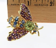 Jean Vitau Multi-Color Fly Brooch