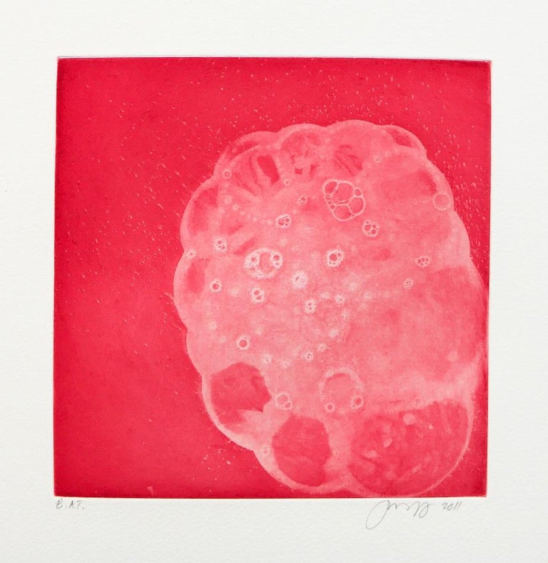 Jean Wolff Five Articles Suite/Alizarin For Sale at 1stDibs