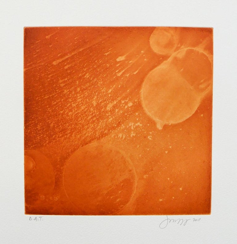 Jean Wolff Five Articles Suite / Sanguine For Sale at 1stDibs