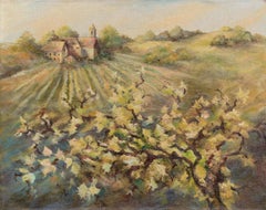 Vineyard Estate, Winery Landscape with Grape Vines 
