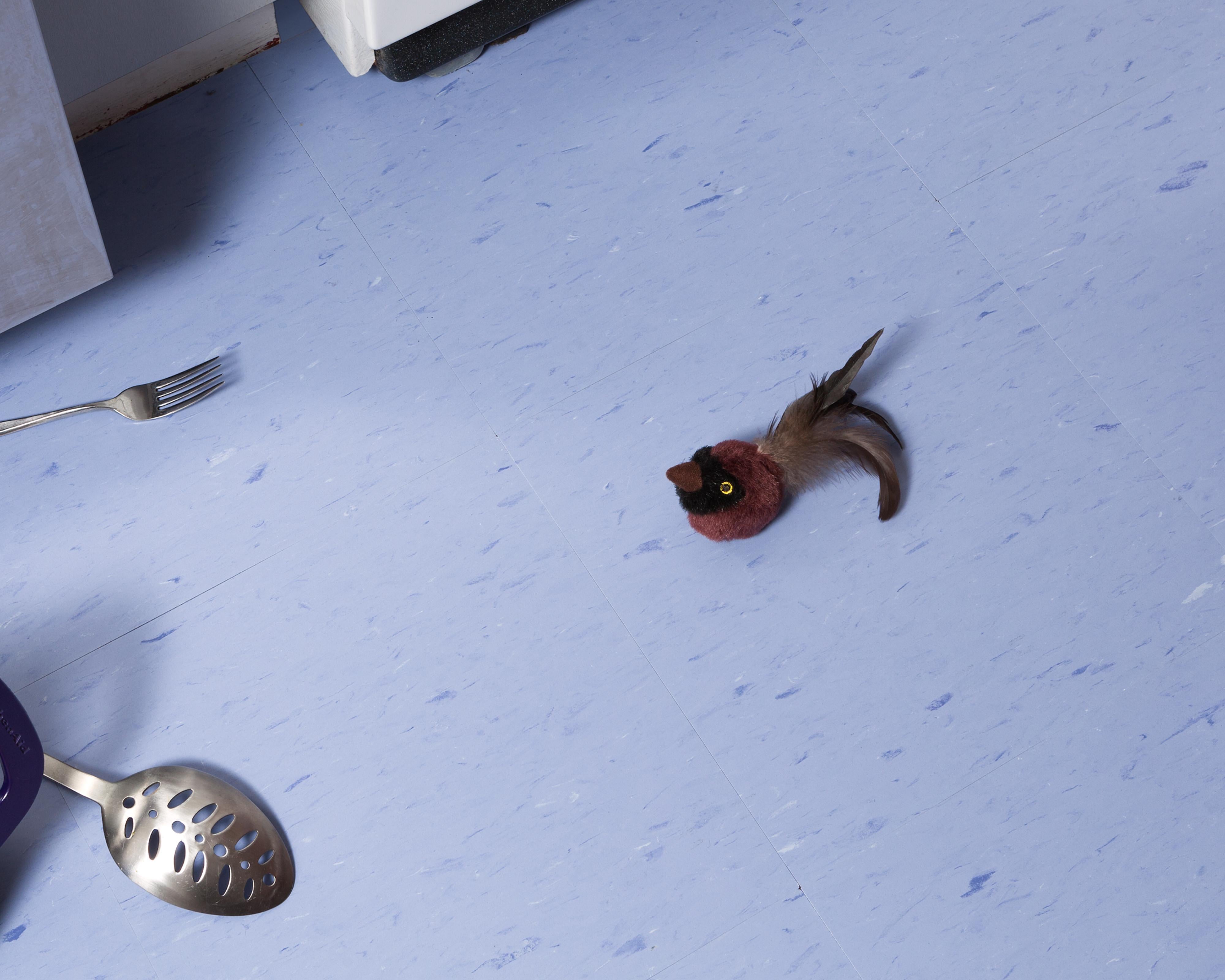 “Morbidity & Mortality: Bird Head” Humorous Photo of Cat Toy in Crime Scene  - Print by Jeanette May