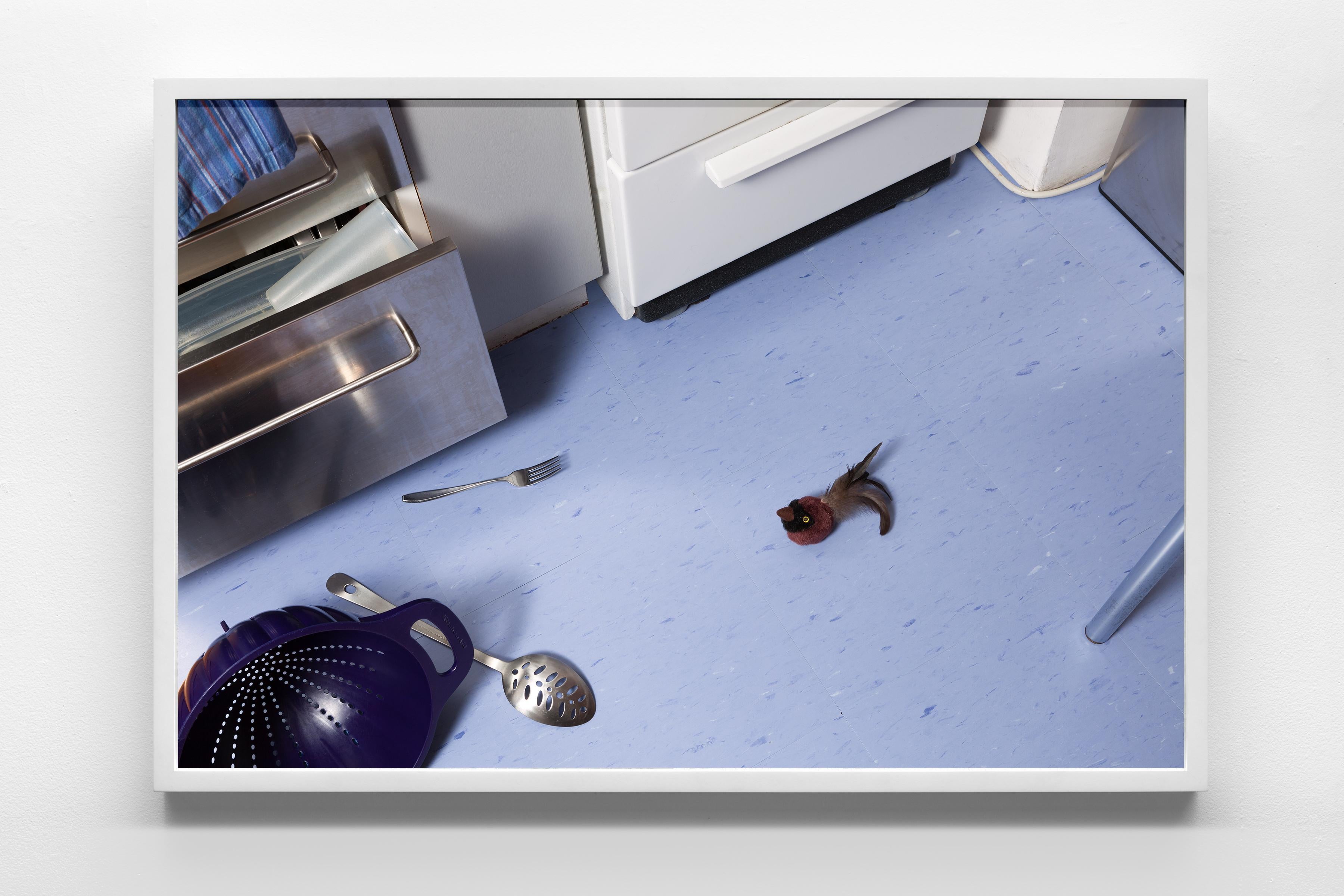 “Morbidity & Mortality: Bird Head” Humorous Photo of Cat Toy in Crime Scene  - Contemporary Print by Jeanette May
