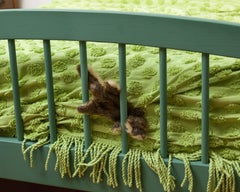 “Morbidity & Mortality: Chipmunk” Humorous Photo of a Dog Toy in Crime Scene