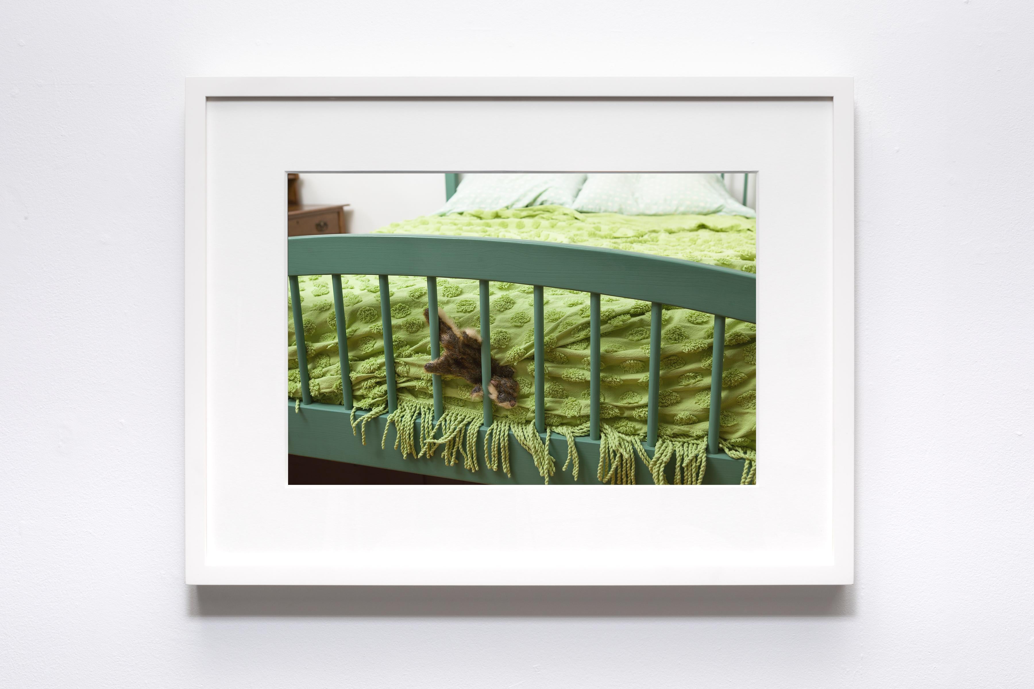 Morbidity & Mortality: Chipmunk Humorvolles Foto eines Hundespielzeugs in Krimsszene (Zeitgenössisch), Photograph, von Jeanette May