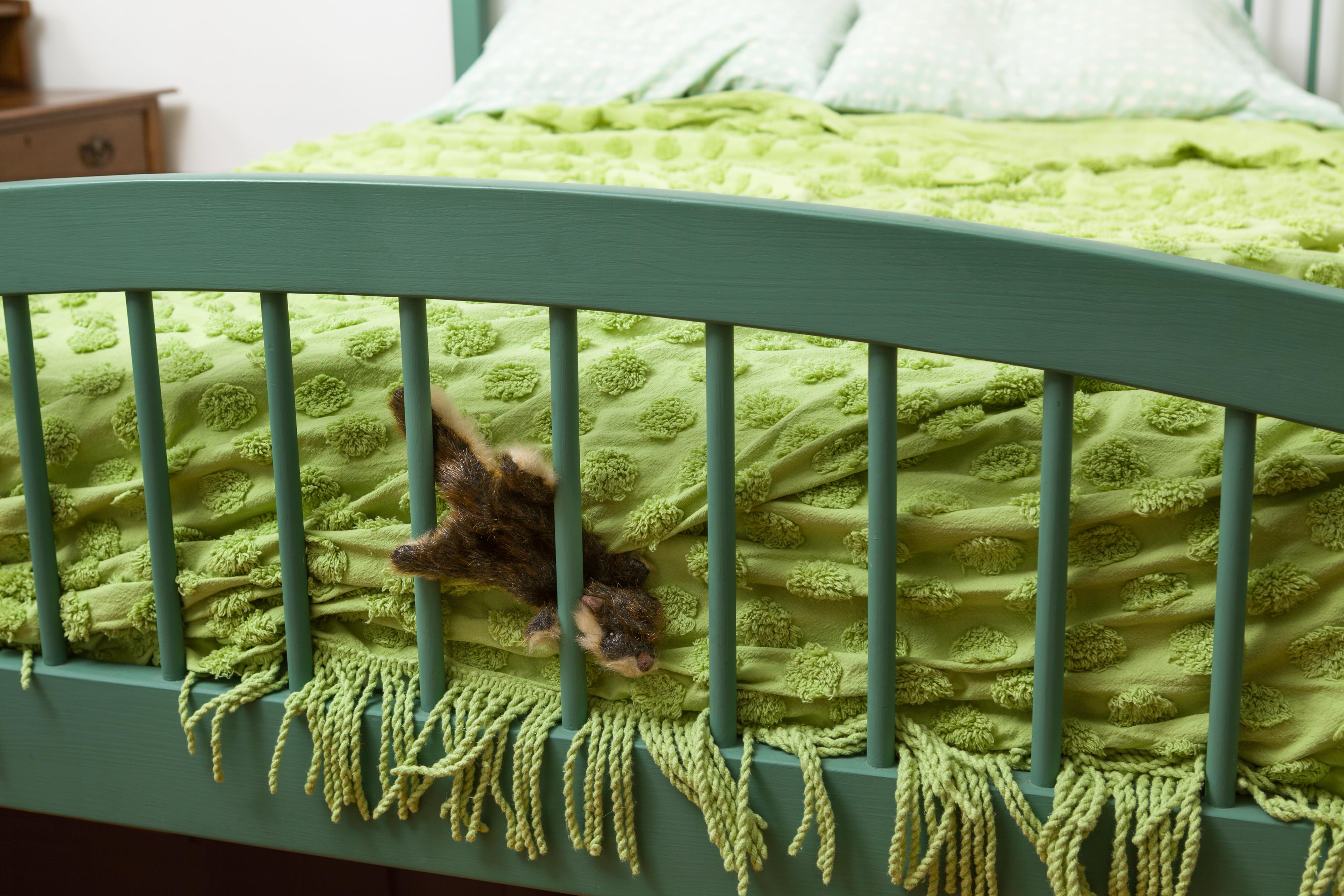 Jeanette May Color Photograph – Morbidity 
Mortality: Chipmunk Humorvolles Foto eines Hundespielzeugs in Krimsszene