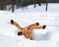 “Morbidity & Mortality: Deer” Humorous Photograph of a Dog Toy in the Snow