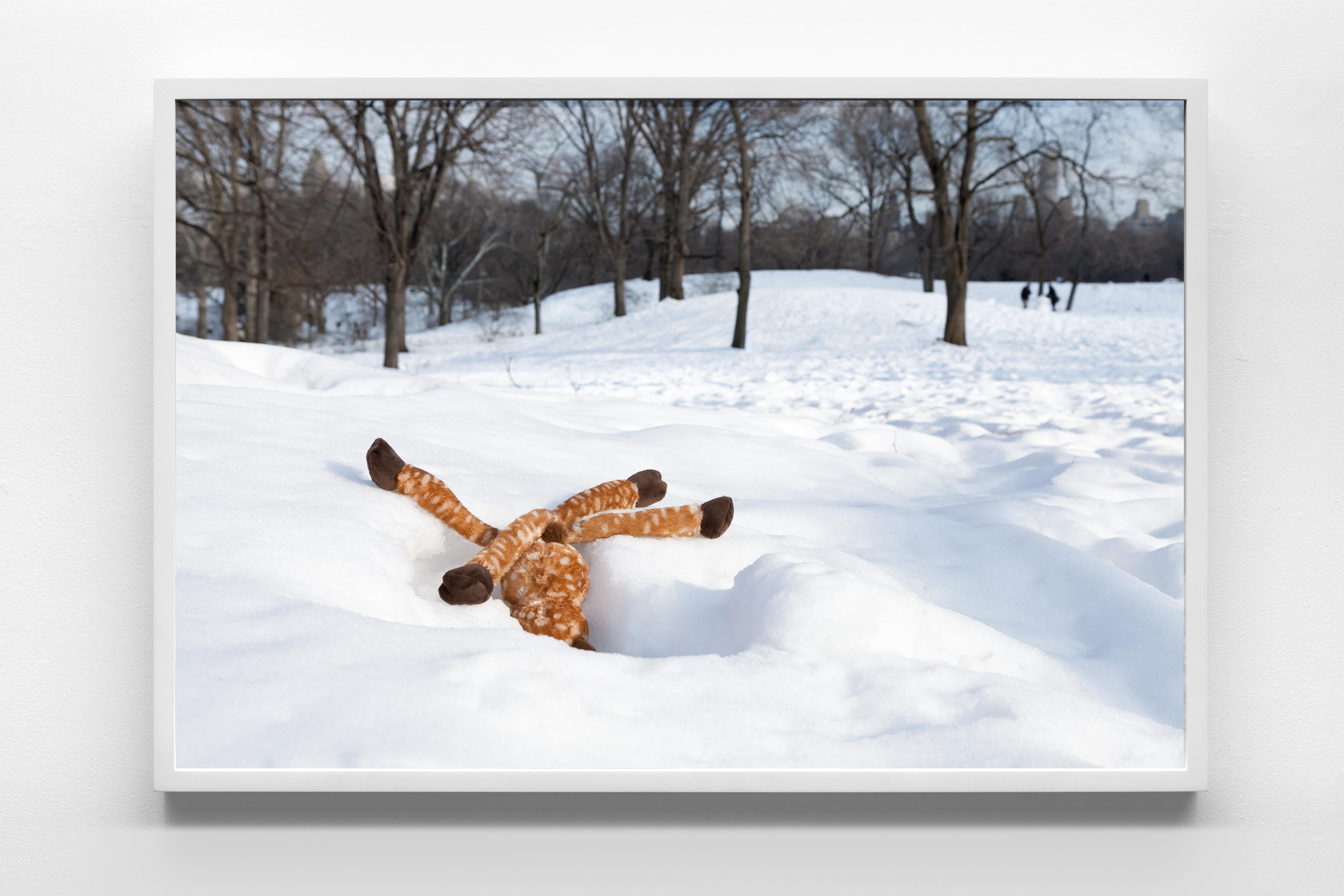 “Morbidity & Mortality: Deer” Humorous Photograph of a Dog Toy in the Snow For Sale 1