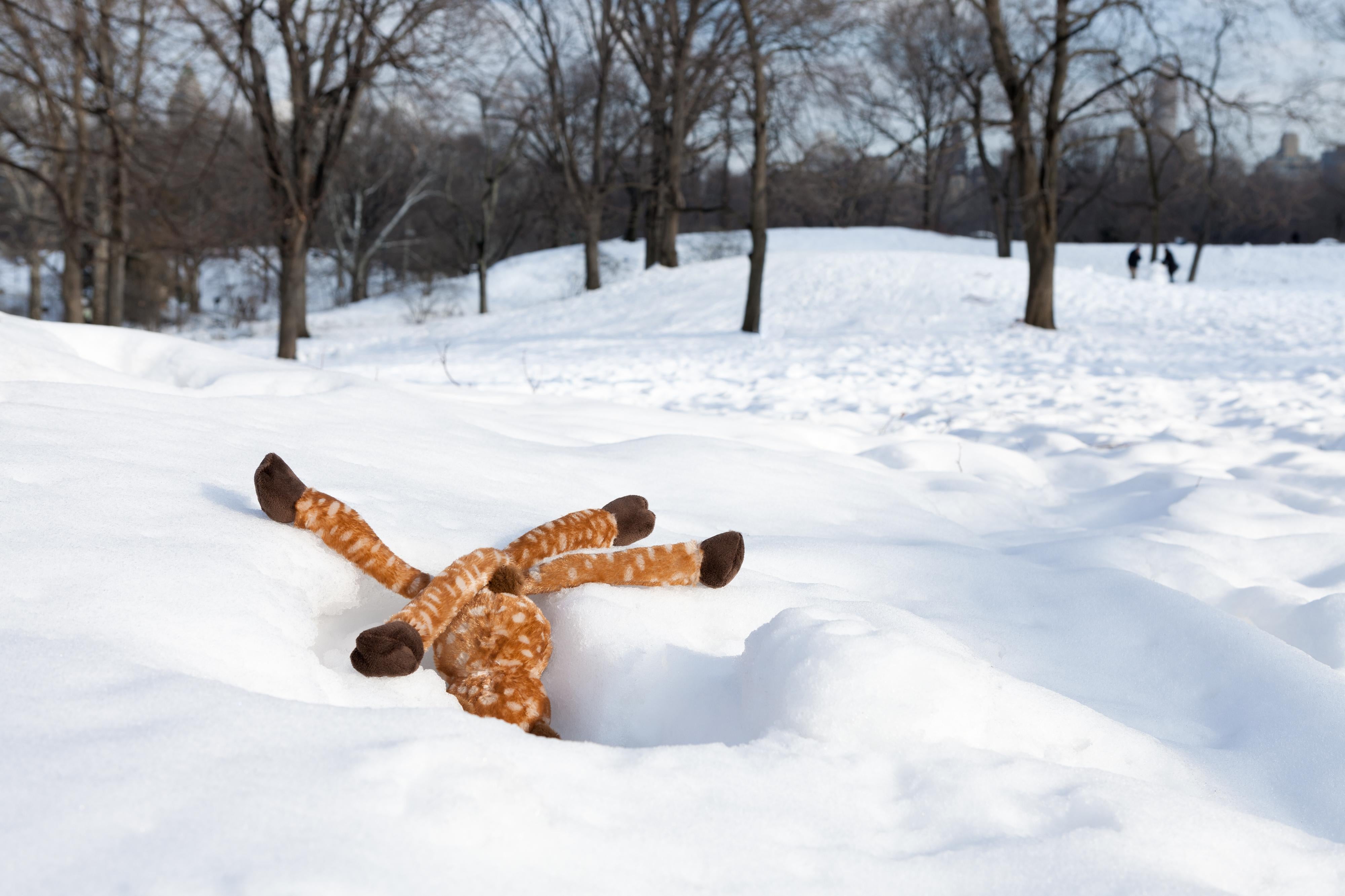 Morbidity & Mortality: Hirsch Humorvolle Fotografie eines Hundespielzeugs im Schnee